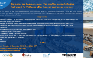 Caring for our Common Home The need for a Legally Binding Instrument for TNCs and other types of business enterprises