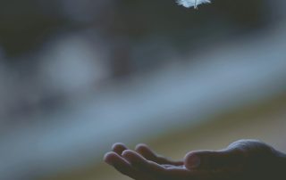 Decorative illustration of an open hand